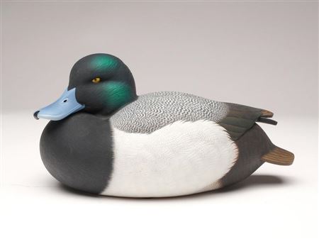 Lowhead bluebill