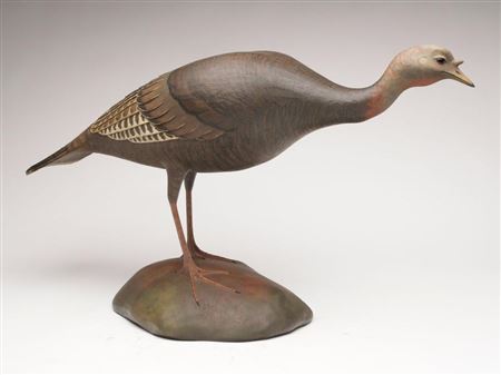 Walking turkey hen