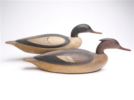 Pair of American mergansers