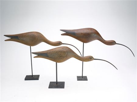 Trio of running curlew
