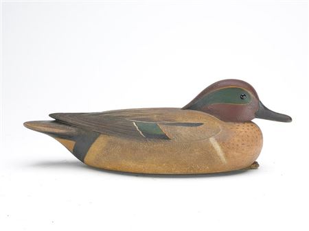 Greenwing teal