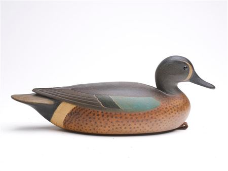 Bluewing teal