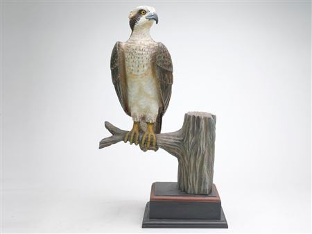 Full size osprey