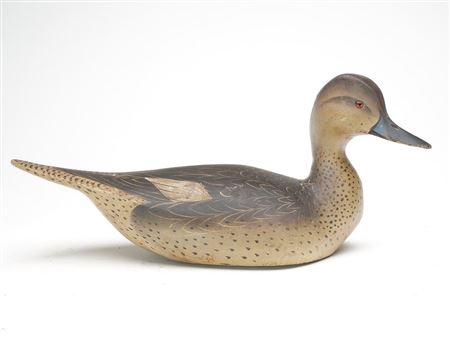 "Pintail female 1931"
