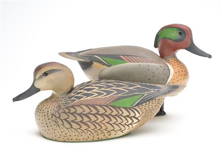 Rare pair of greenwing teal