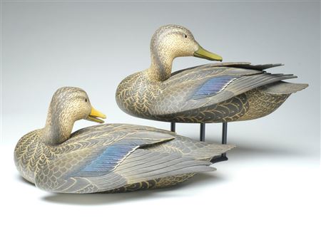 Highly decorative and exceptional pair of black ducks