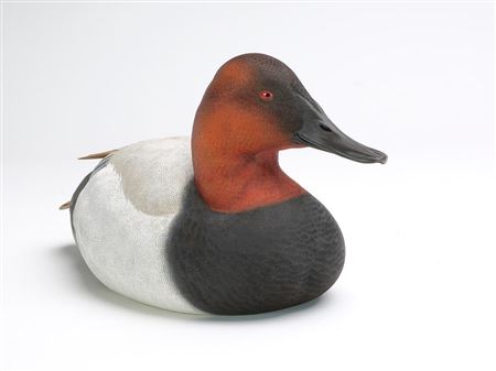 Canvasback drake by Tan Brunett - Auction record, sale price, and art valuation. Compare with similar artists and explore comparable artworks.