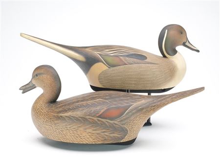 Pair of pintails