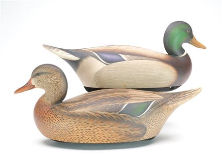 Pair of mallards