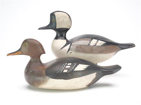 Very rare and desirable pair of hooded mergansers