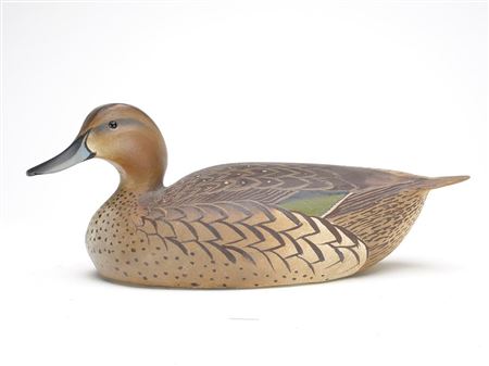 Pintail hen