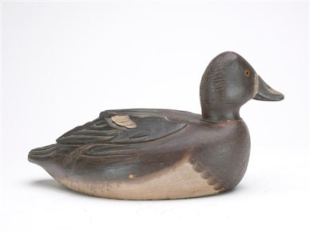 Excellent bluebill hen