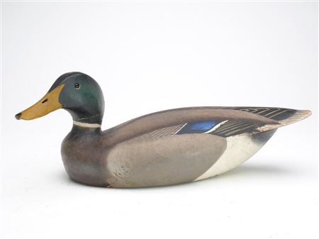 Mallard