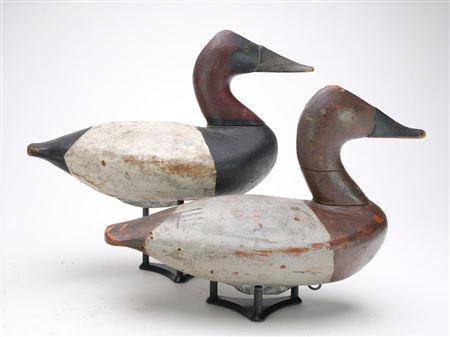 Very rare rigmate pair of canvasbacks