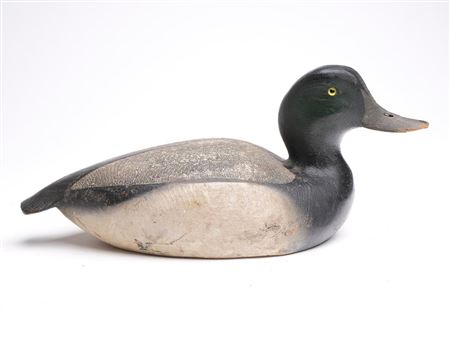 Bluebill