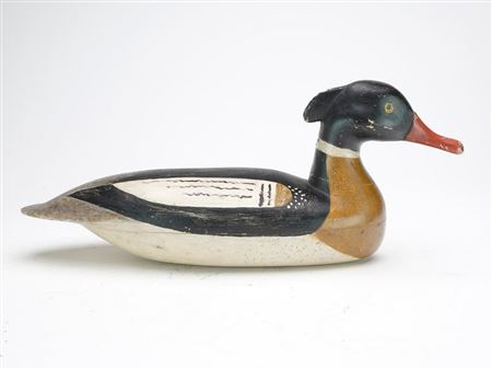 Extremely rare red breasted merganser