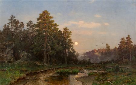 Pine Forest With a Lake