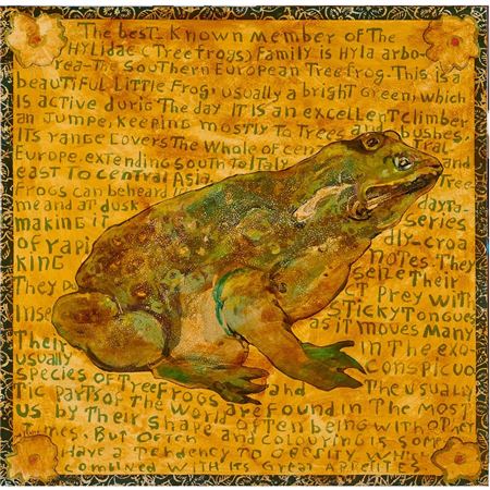 The Southern European Tree Frog