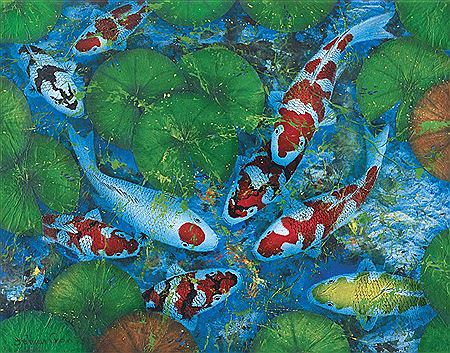 Koi