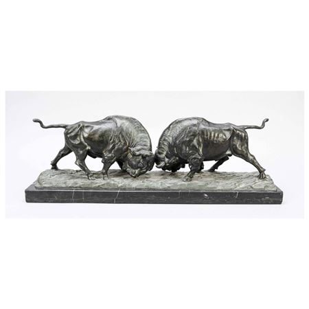 Two Bison Fighting each other