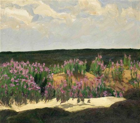 Fireweed in the moor 1910