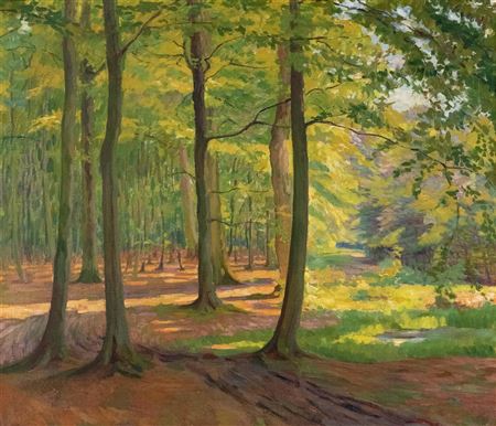 Interior of forest