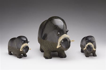 Muskox Family(3)