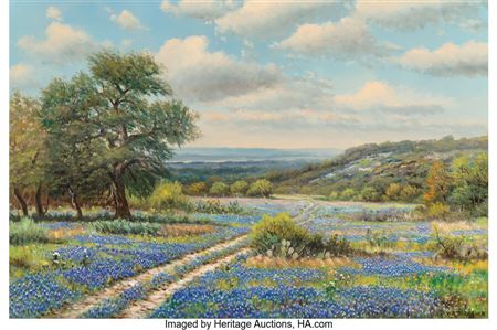 Bluebonnets