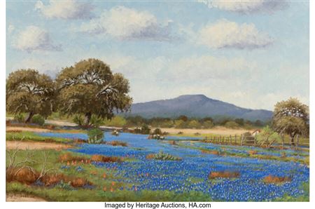 Spring Bluebonnets near Camp Verde, Texas by Hugo Herbeck - Auction record, sale price, and art valuation. Compare with similar artists and explore comparable artworks.