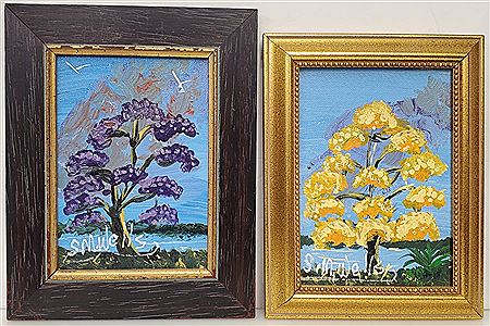 Yellow Jacaranda Tree (Pair)