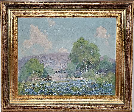 Texas Blue Bonnet Landscape