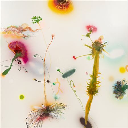 Psychotropical phenomenon, 2003 by Thierry Feuz - Auction record, sale price, and art valuation. Compare with similar artists and explore comparable artworks.