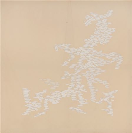 White Growth ND, 1970-71