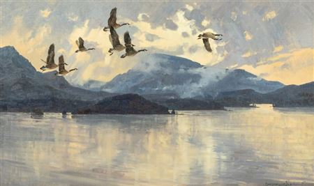 Shimmering Flight