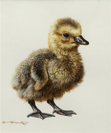 Gosling Study,1994