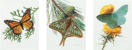 Flying in Harmony, Triptych