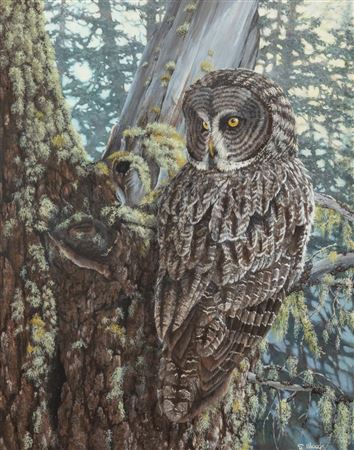 Forest Eyes, 1993
