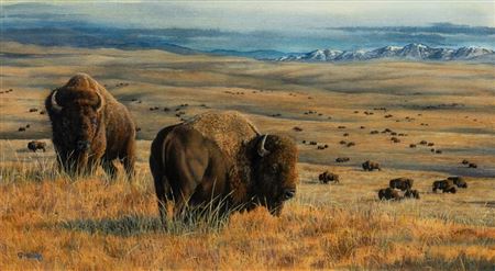 Lasting Legacy by Sarah Woods - Auction record, sale price, and art valuation. Compare with similar artists and explore comparable artworks.