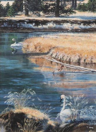 Morning on the Madison, 1993