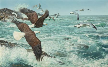 Wings, Wind and Sea, 1995