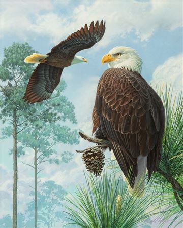Sky Life,1995