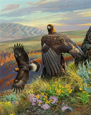 Sehla Creek Canyon Lands, 1995