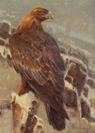 High Plains Hunter