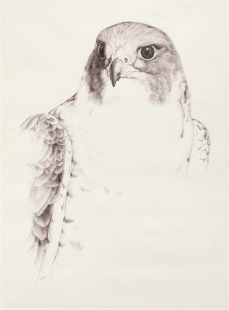 Falcon Crest