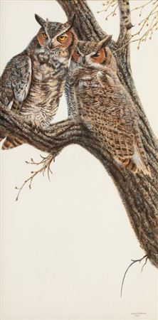 Horned Owl, 1980