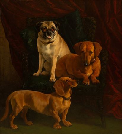 Dachshunds and a Pug