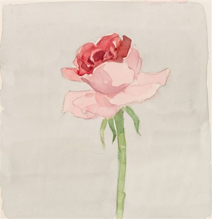 Pink Rose on Grey Ground