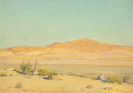 Mojave Sunlight