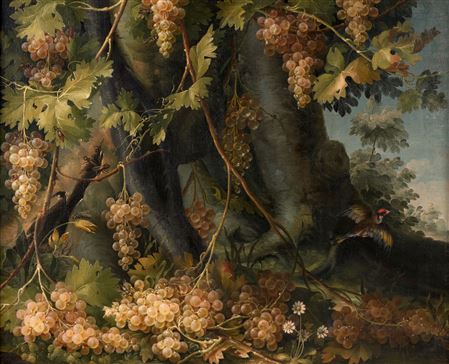 Still lifes with bunches of grapes
