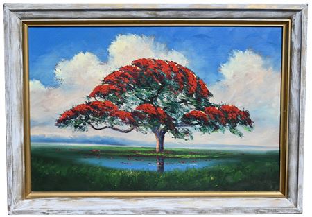 Poinciana Tree
